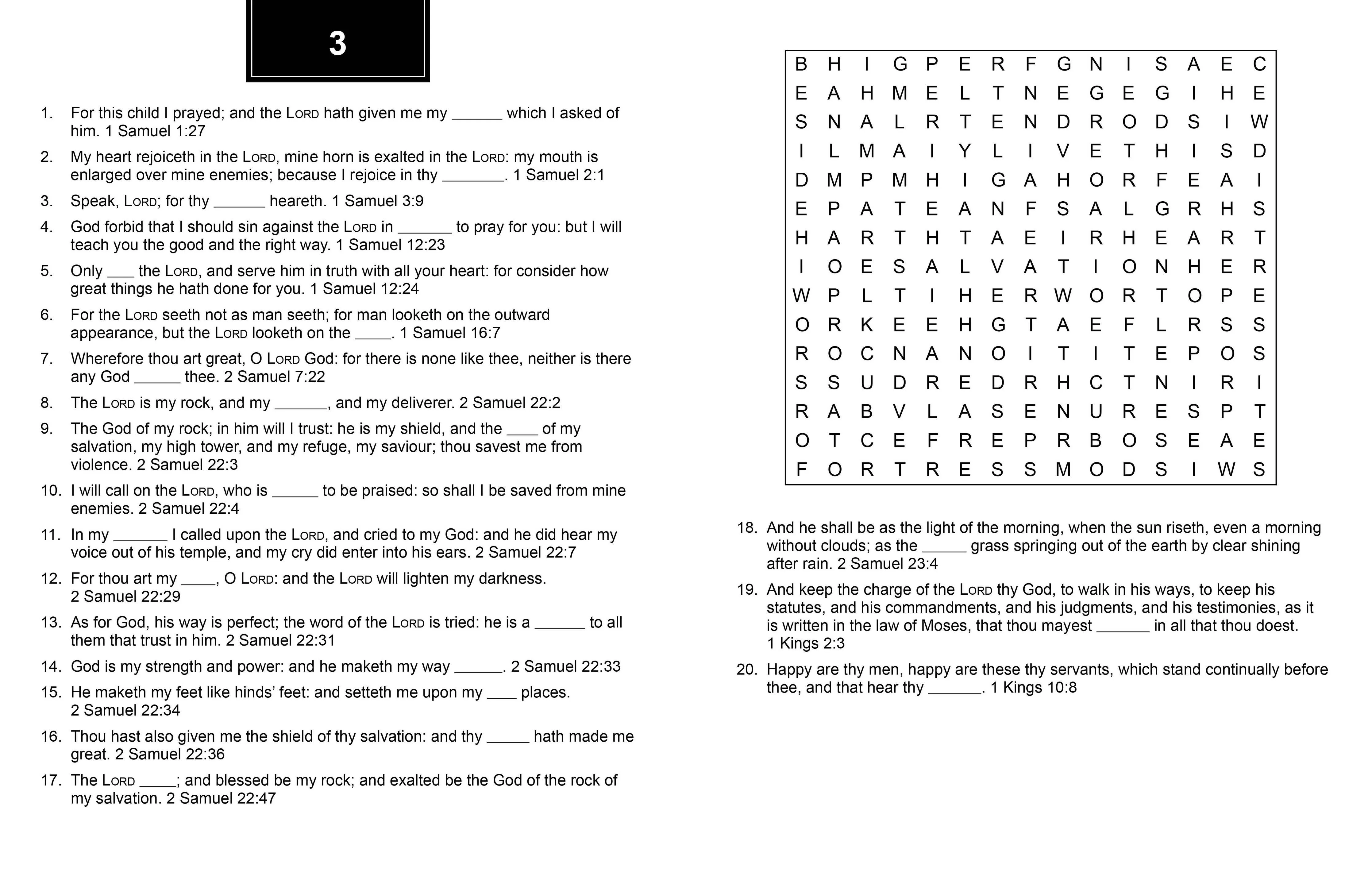 Bible Memory Verse Challenge Word Searches Large Print