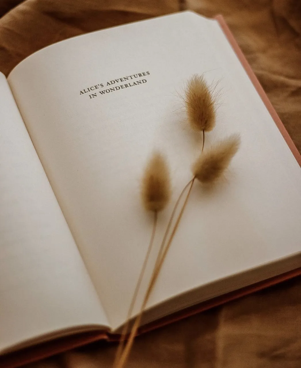Book - Alice in Wonderland